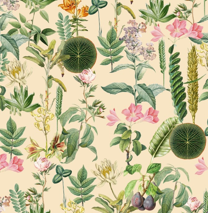 76a624ba-be73-4d5a-b6b6-ad05aa3b2c17 76a624ba be73 4d5a b6b6 ad05aa3b2c17